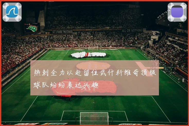热刺全力以赴留住武什科维奇顶级球队纷纷表达兴趣